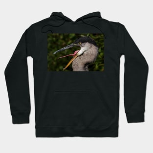 Smilin Blue Heron Hoodie